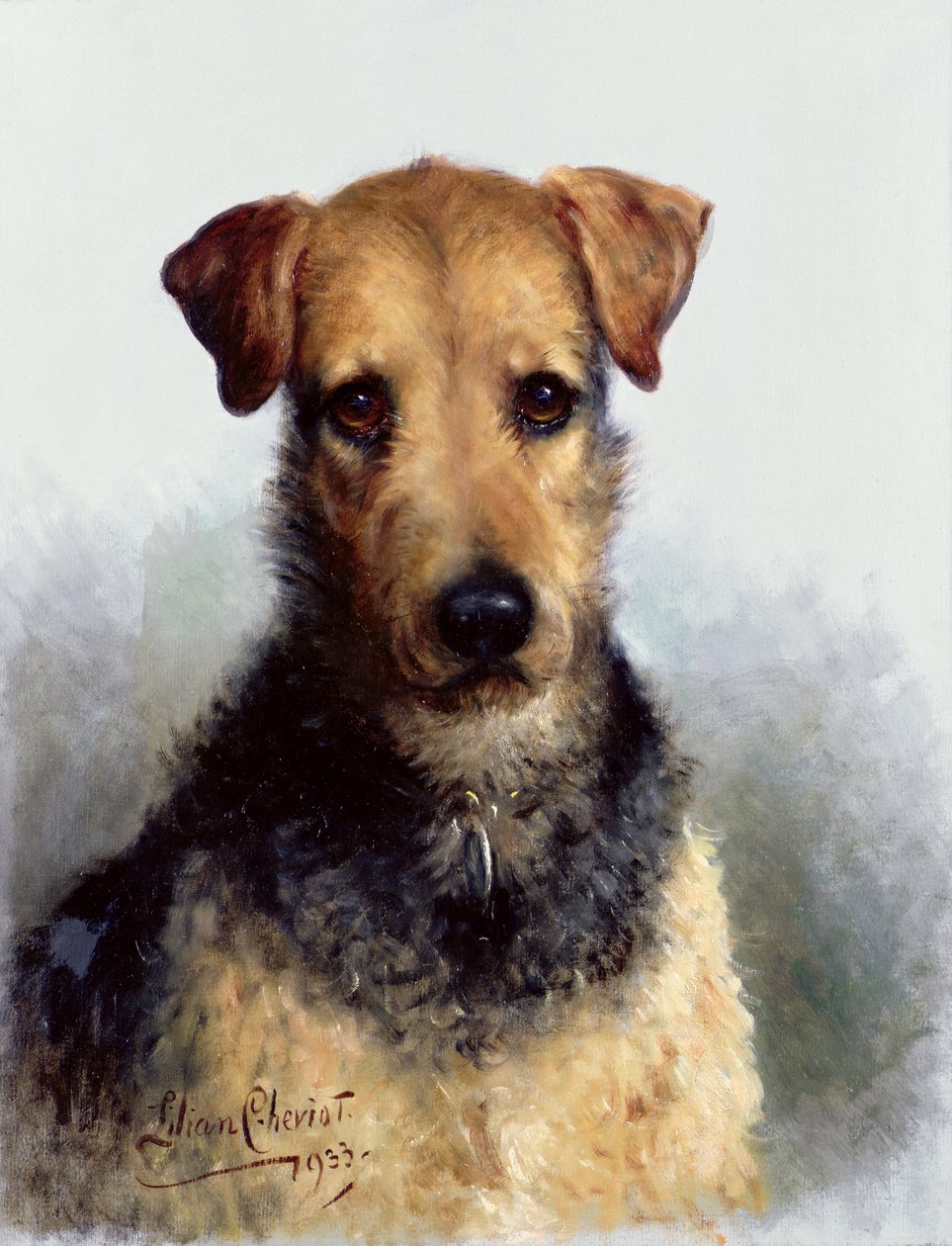 Fox Terrier à Poil Dur, 1933 - Lilian Cheviot