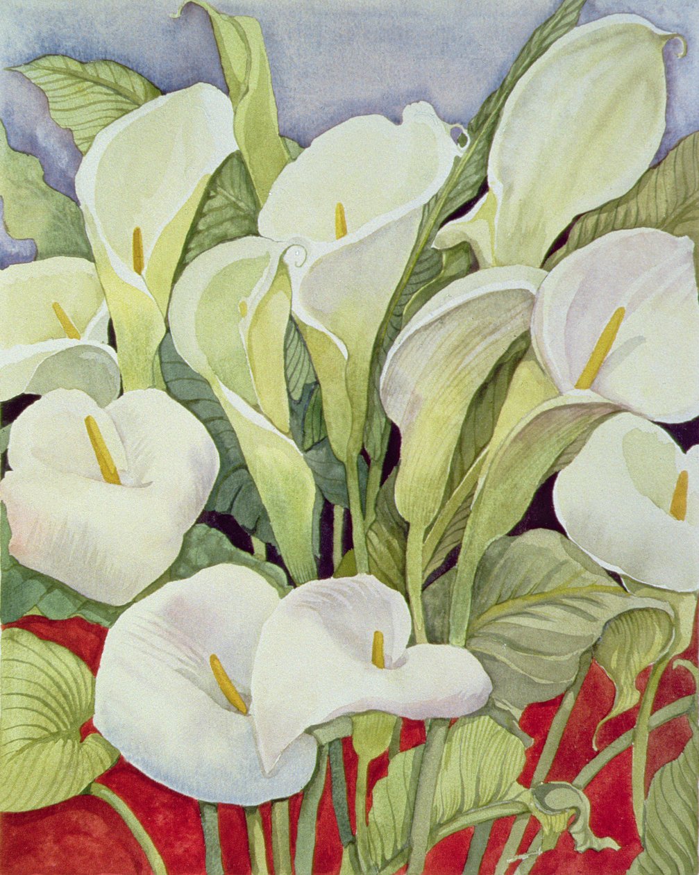 Arums, 1978 - Lillian Delevoryas