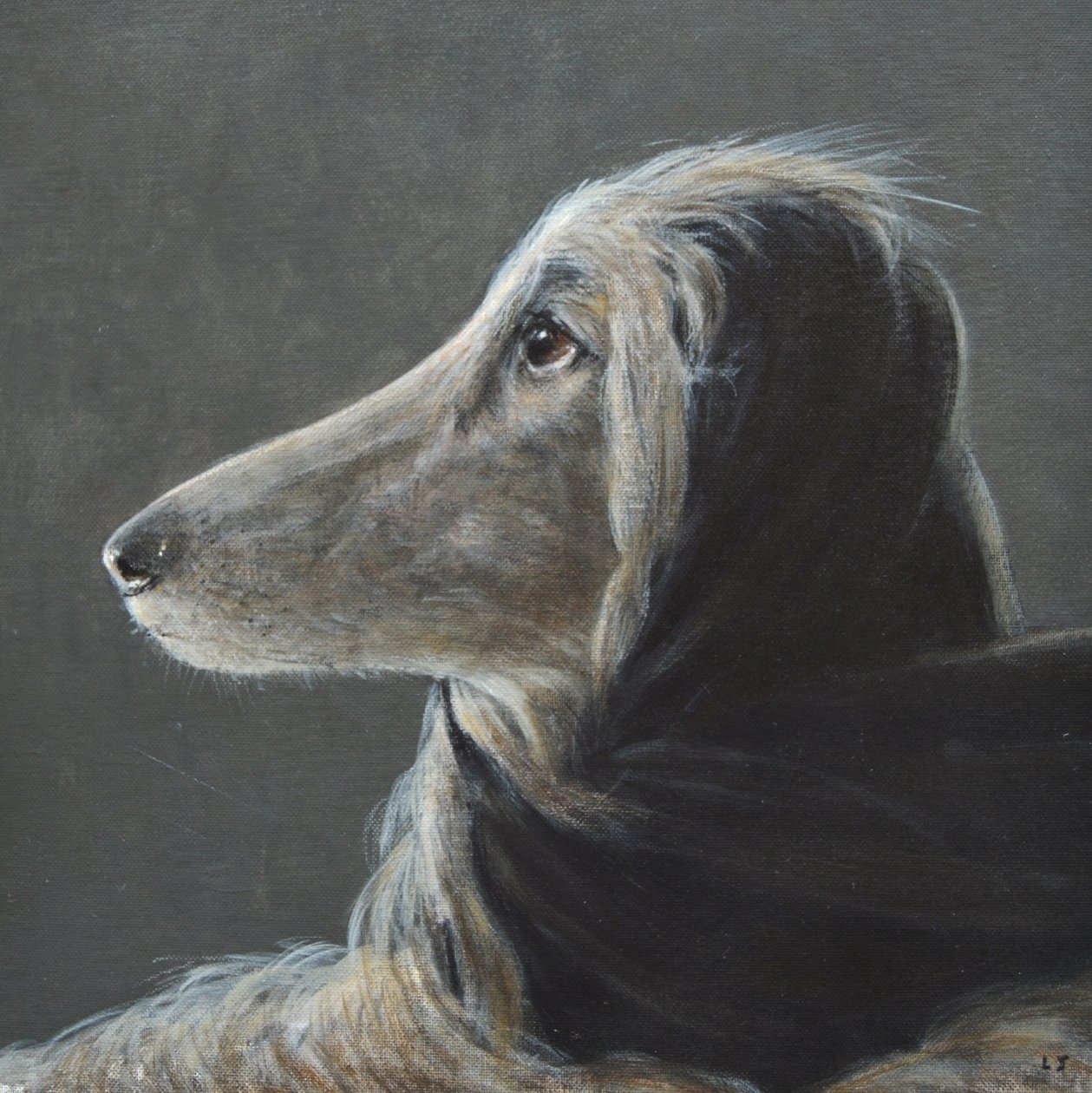 Afghan à grande vitesse, gris - Lincoln Seligman