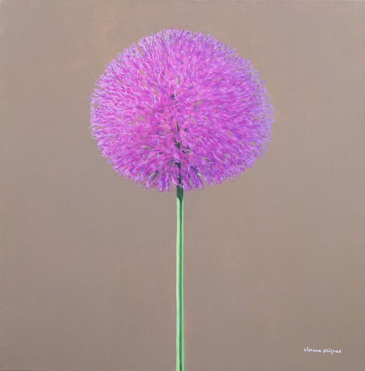 Alium - Lincoln Seligman