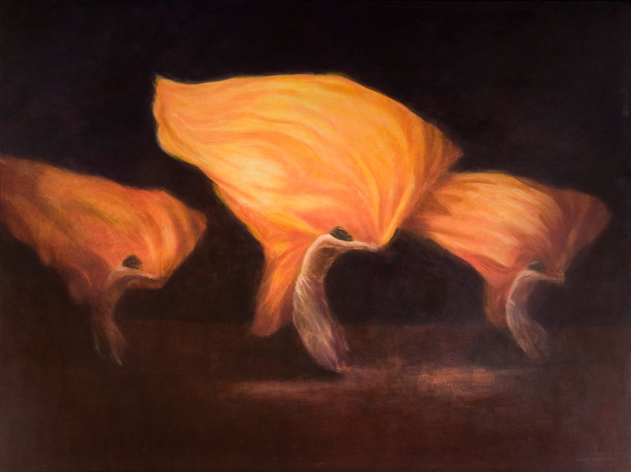 Danseurs chinois, 2010 - Lincoln Seligman