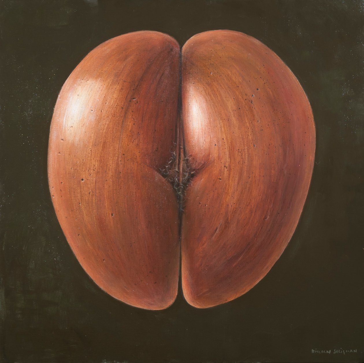 Coco de Mer, Maldives, 2012 - Lincoln Seligman