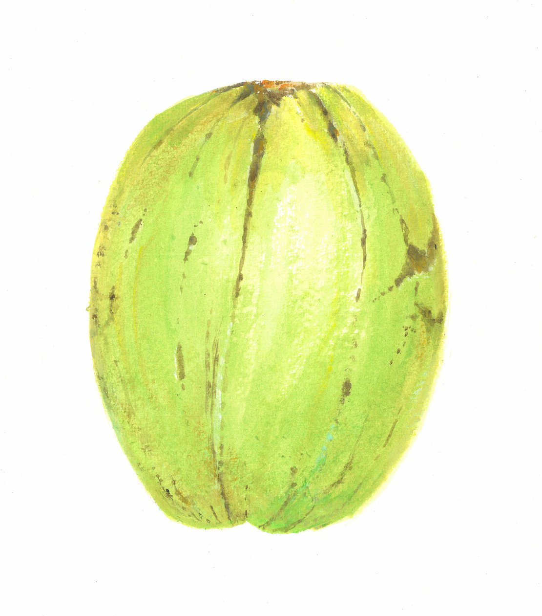 Noix de Coco, Sri Lanka, 2015 - Lincoln Seligman