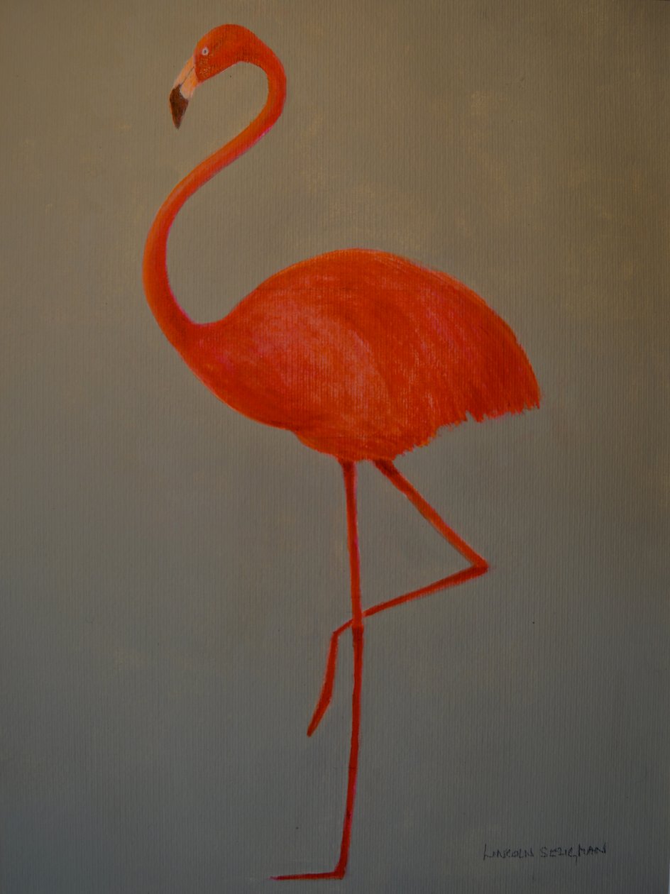 Flamant rose - Lincoln Seligman