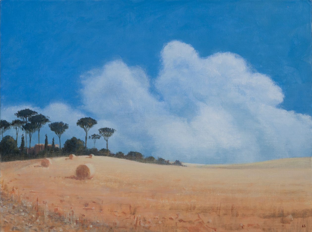 Paysage près de Paganico, 2012 - Lincoln Seligman