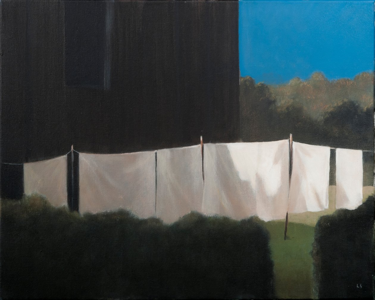 La lessive de Norma, 2012 - Lincoln Seligman