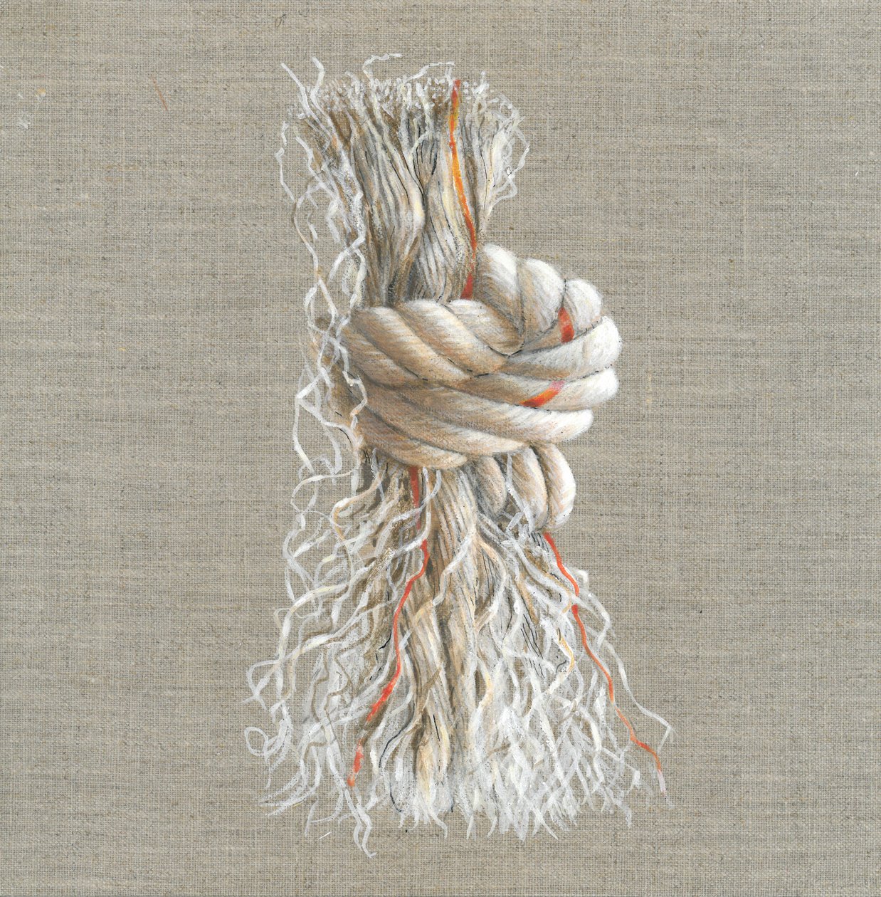 Nœud de corde - Lincoln Seligman