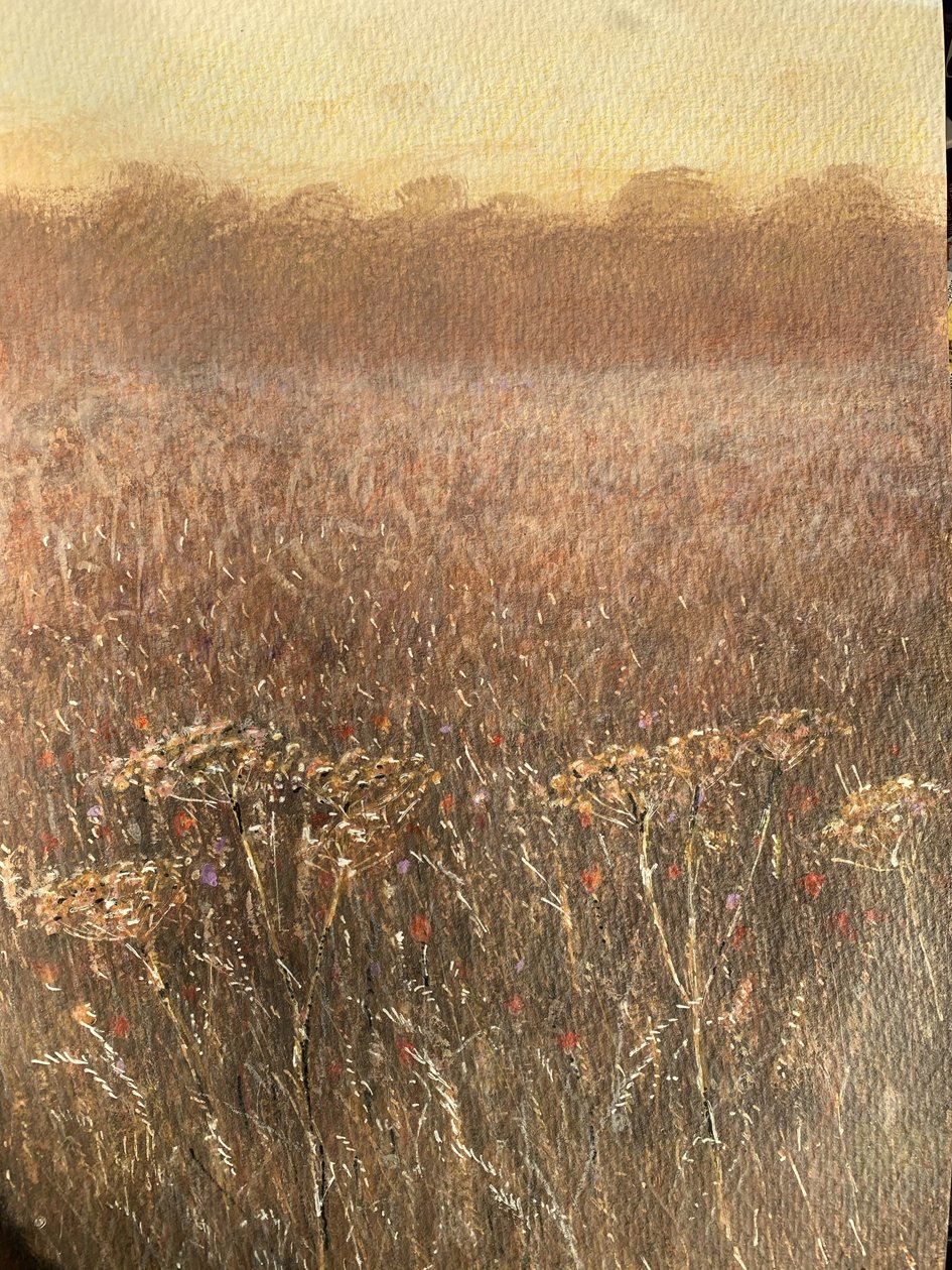 Champ de haricots au crépuscule - Lincoln Seligman