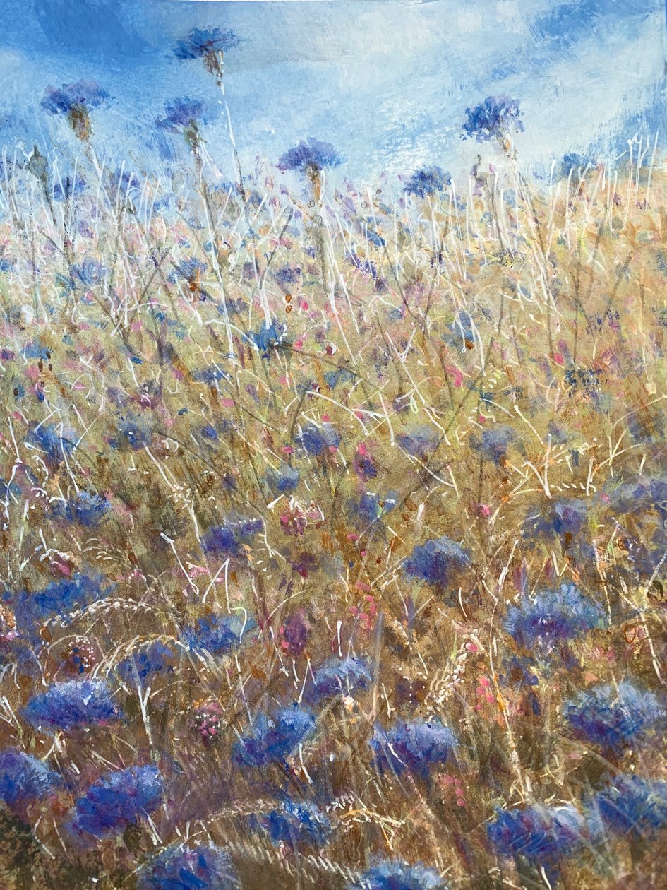 Bleuets 2 - Lincoln Seligman