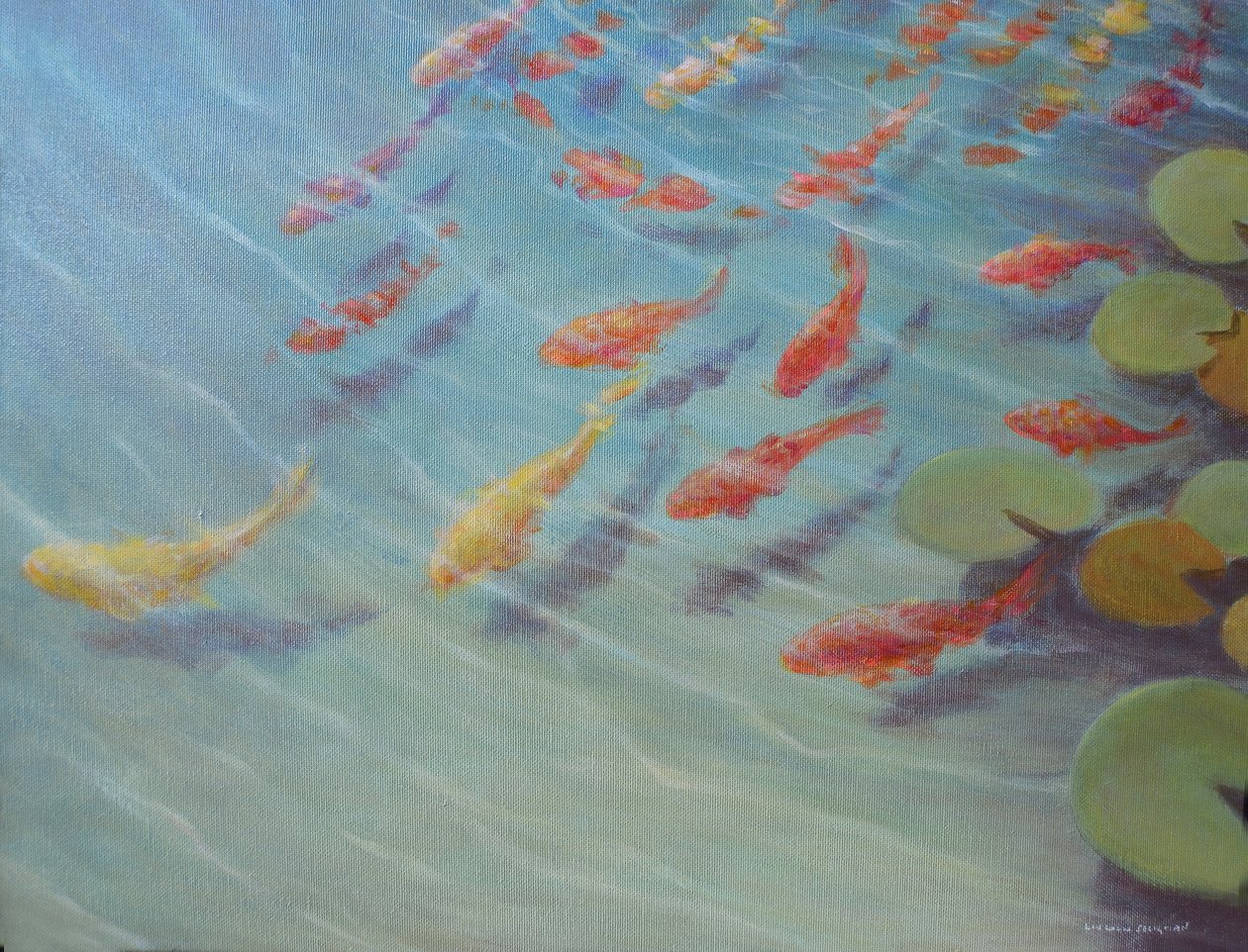 Bassin à poissons - Lincoln Seligman