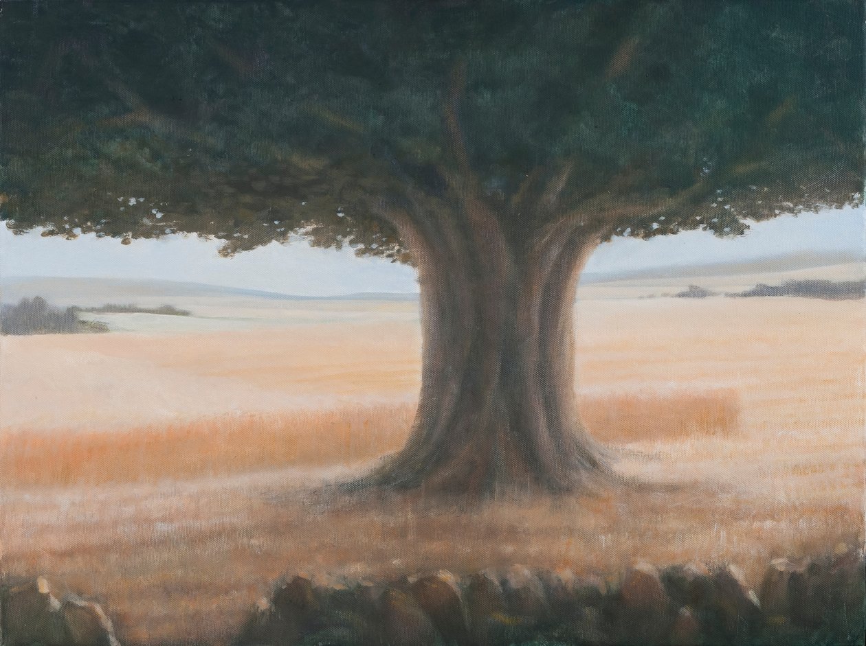 Arbre, Holwell, 2012 - Lincoln Seligman