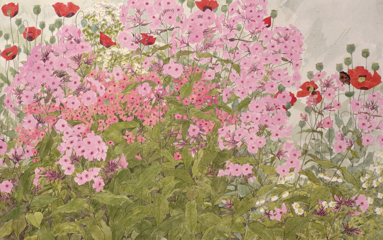 Phlox Roses et Coquelicots avec un Papillon - Linda Benton