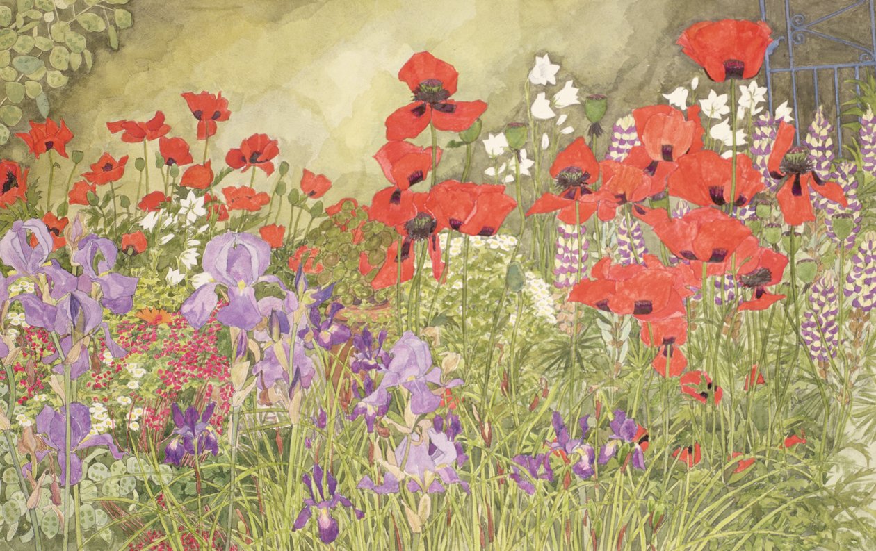 Coquelicots et Iris - Linda Benton