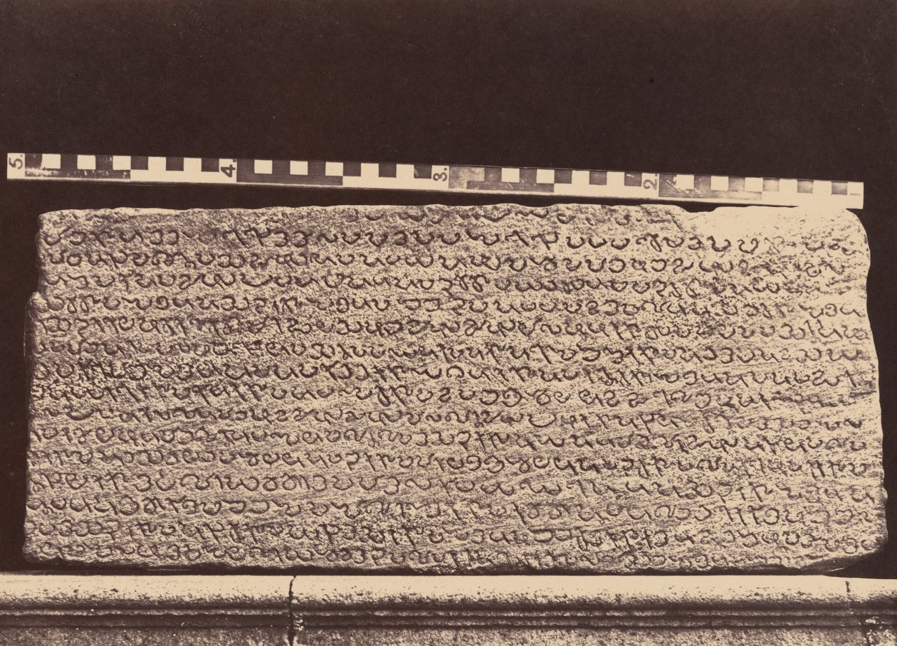 Elliot Marbles,1859 (photo) - Linnaeus Tripe