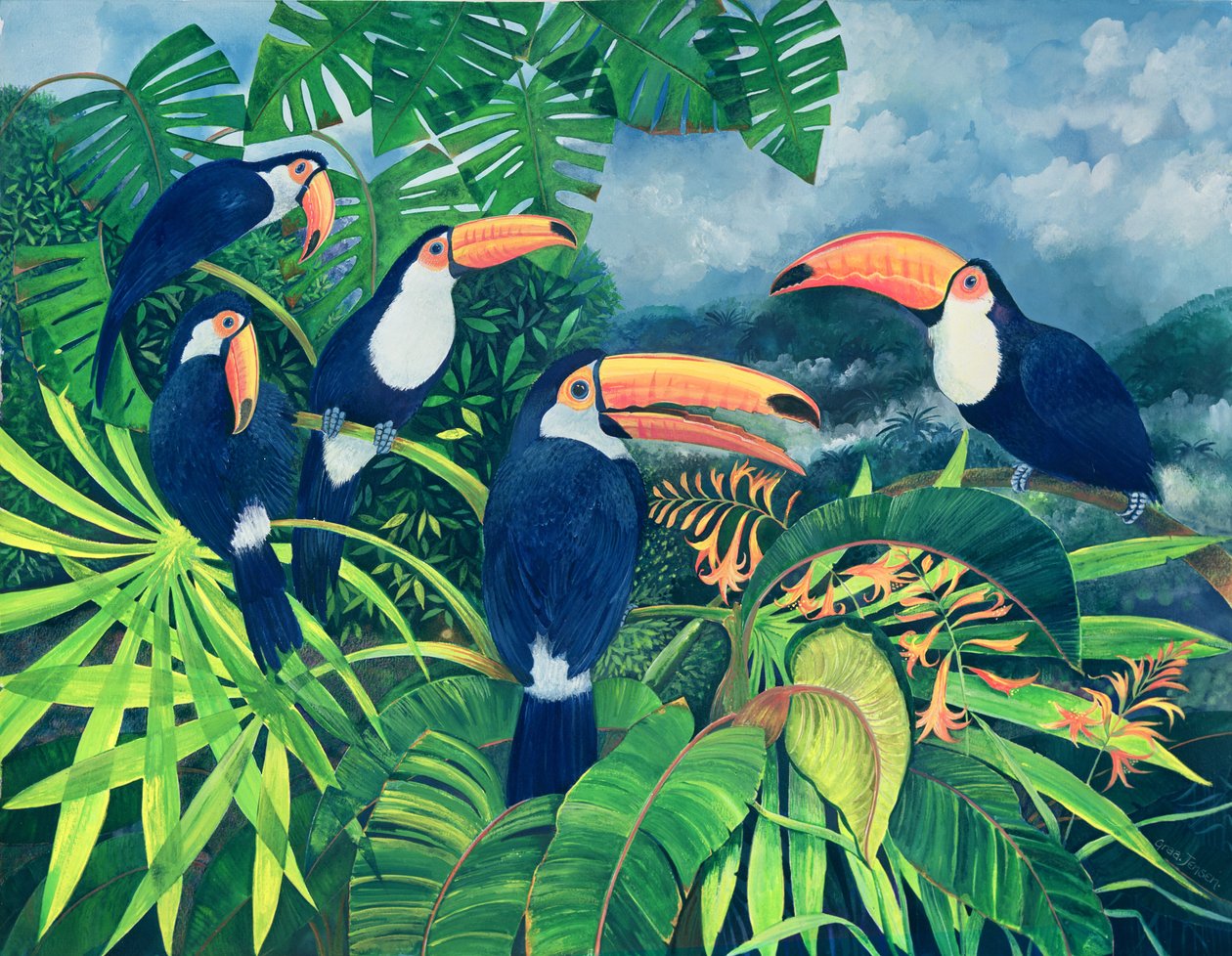 Parler de toucan - Lisa Graa Jensen