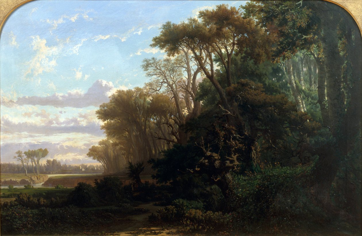 Paysage avec bois - Lluís Rigalt