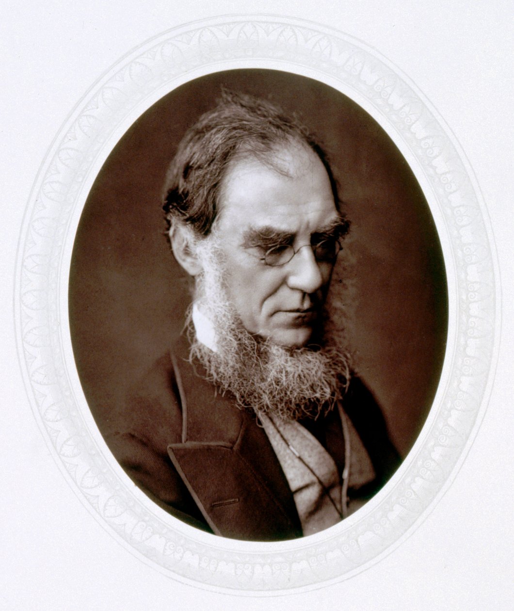 Joseph Dalton Hooker, botaniste anglais, vers 1880 - Lock and Whitfield