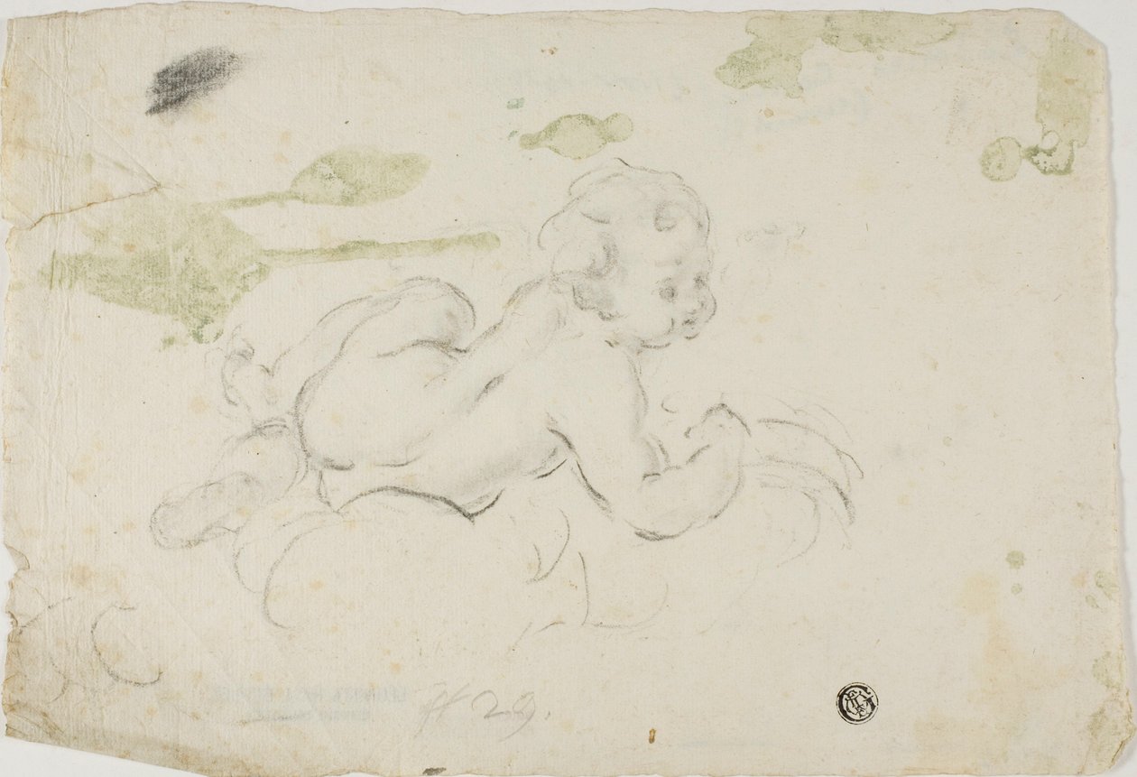 Putto - Lodovico Carracci