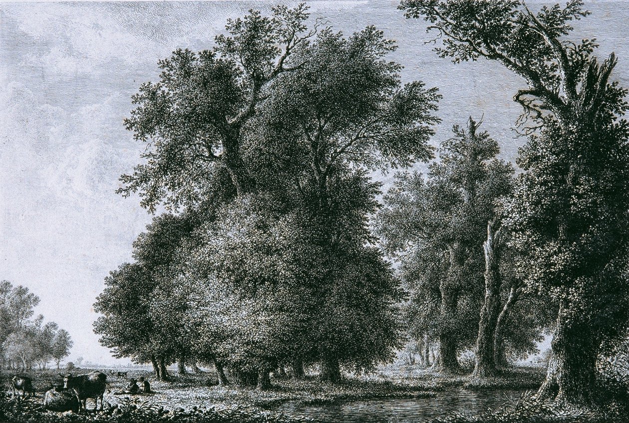 Paysage avec chênes - Lorenz Adolf Schönberger