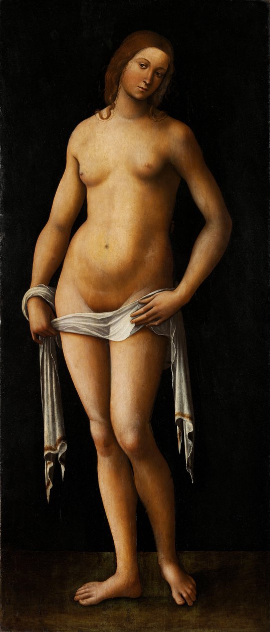 Vénus - Lorenzo Costa