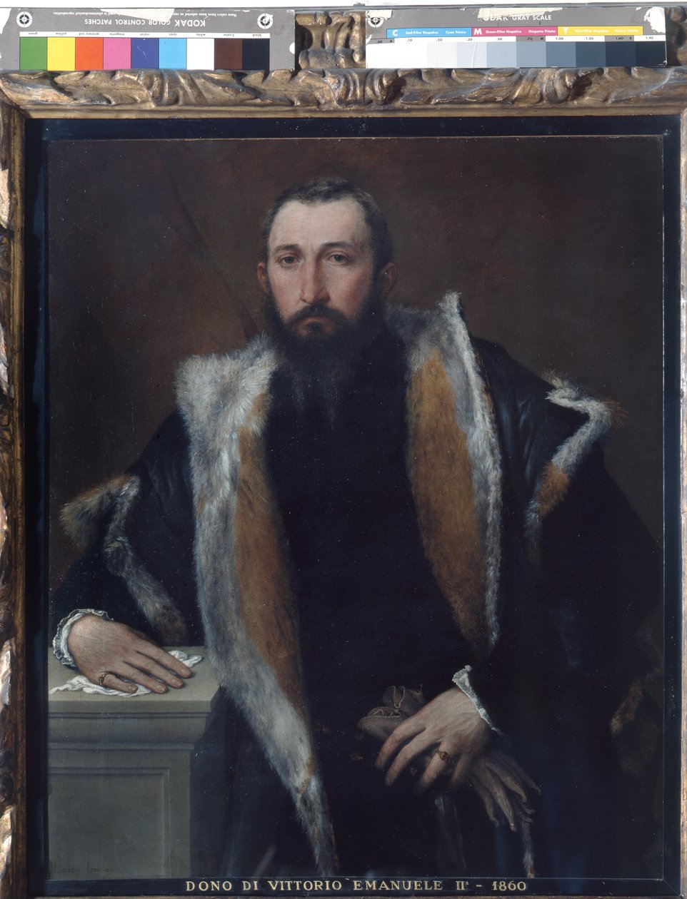 Portrait de Febo da Brescia - Lorenzo Lotto