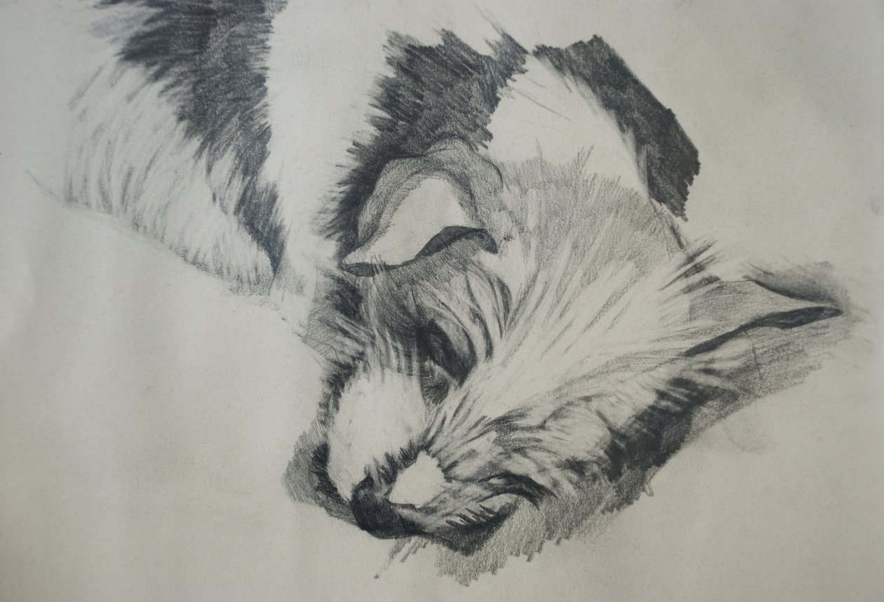 Jack Russel, 2015 - Lou Gibbs