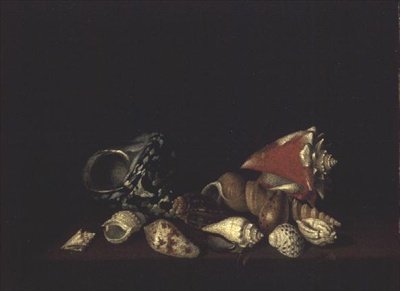 Nature morte de coquillages sur une corniche - Louis Hubner