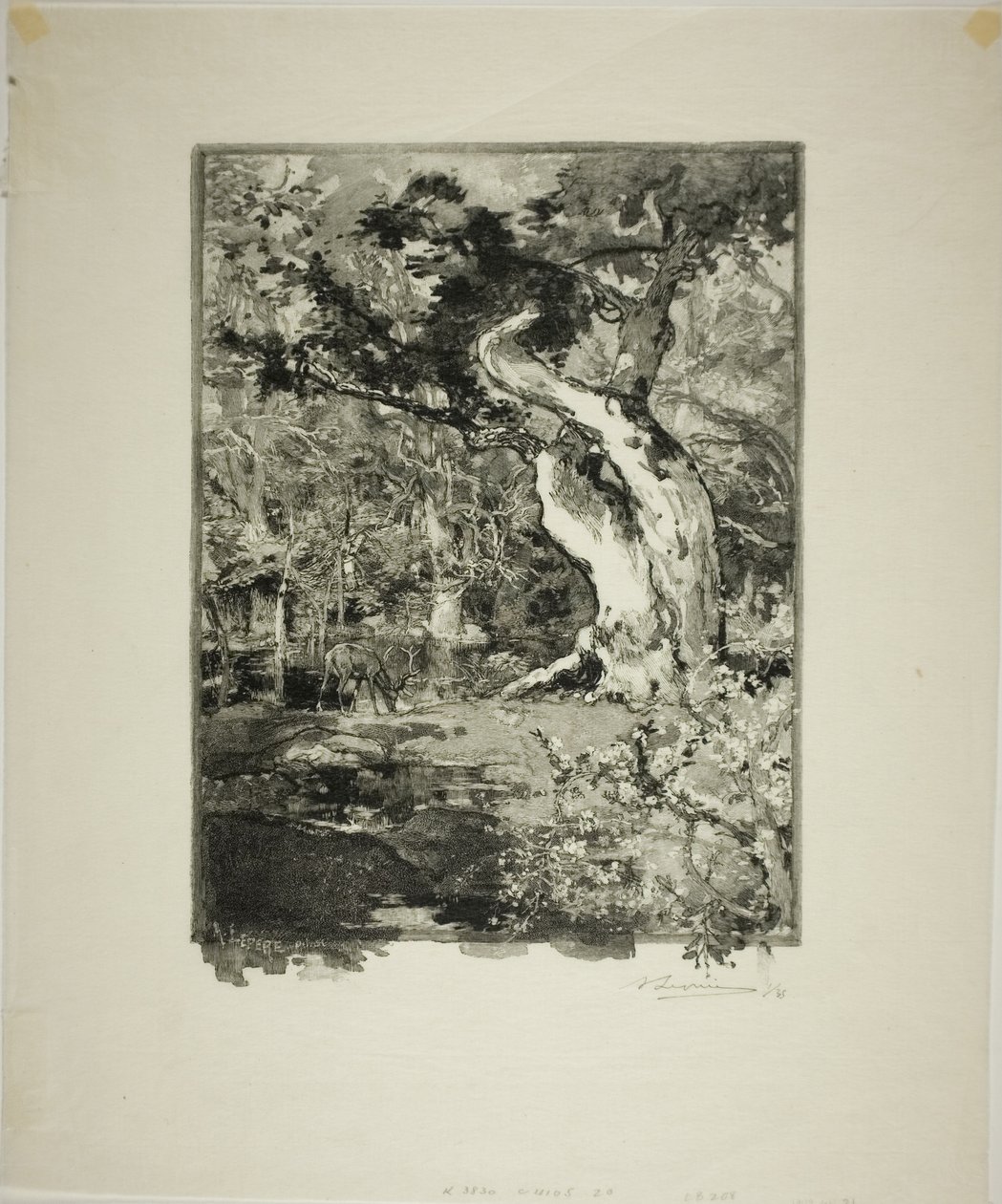Le Clovis, Plateau de Bellecroix - Louis Auguste Lepère
