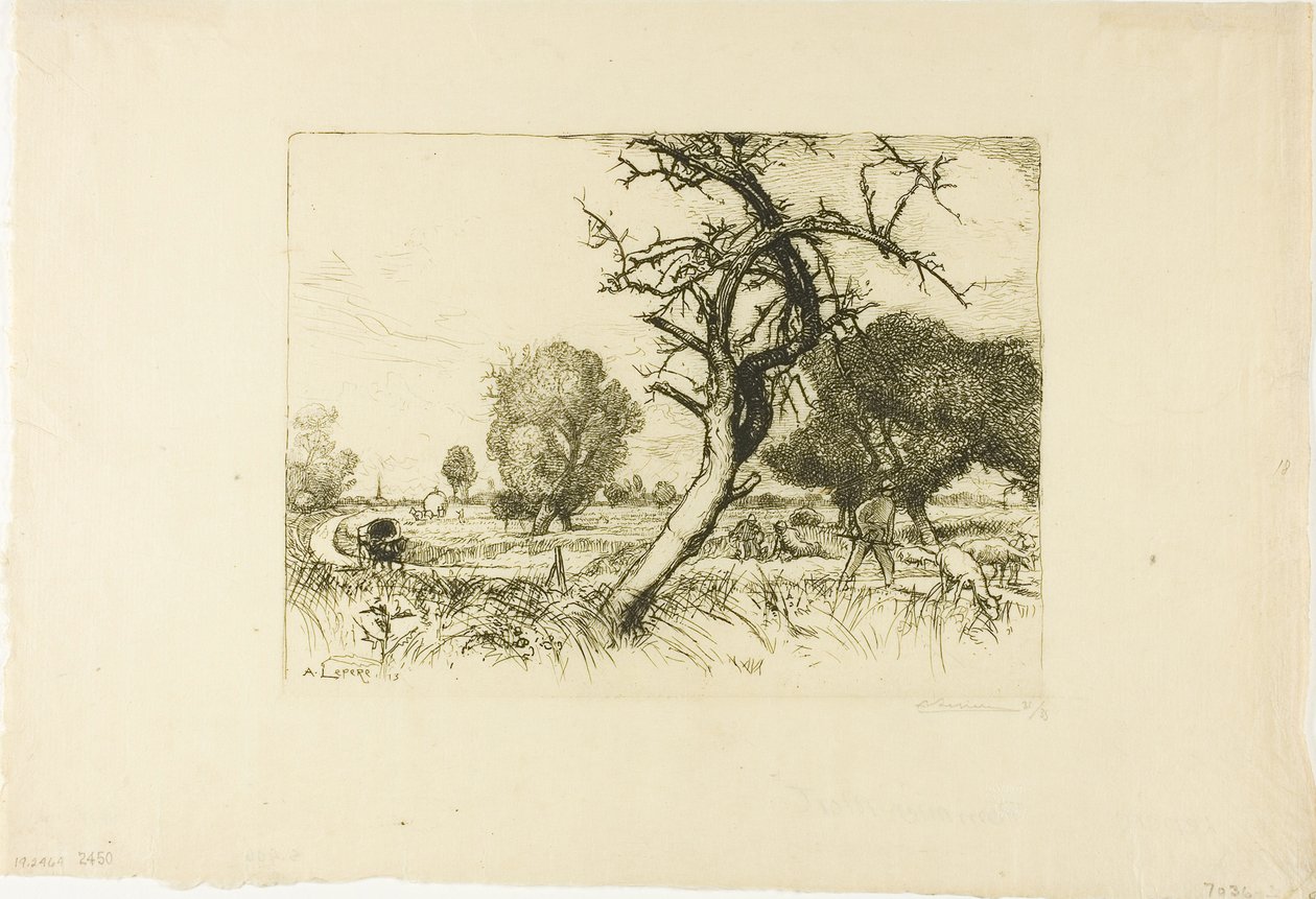 Le pommier mort - Louis Auguste Lepère