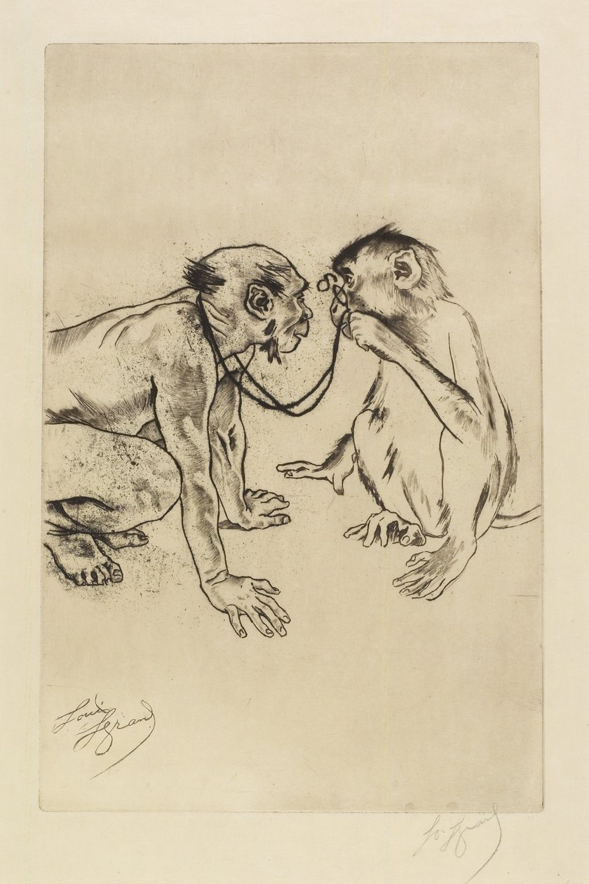 Anatomie comparée - Louis Auguste Mathieu Legrand