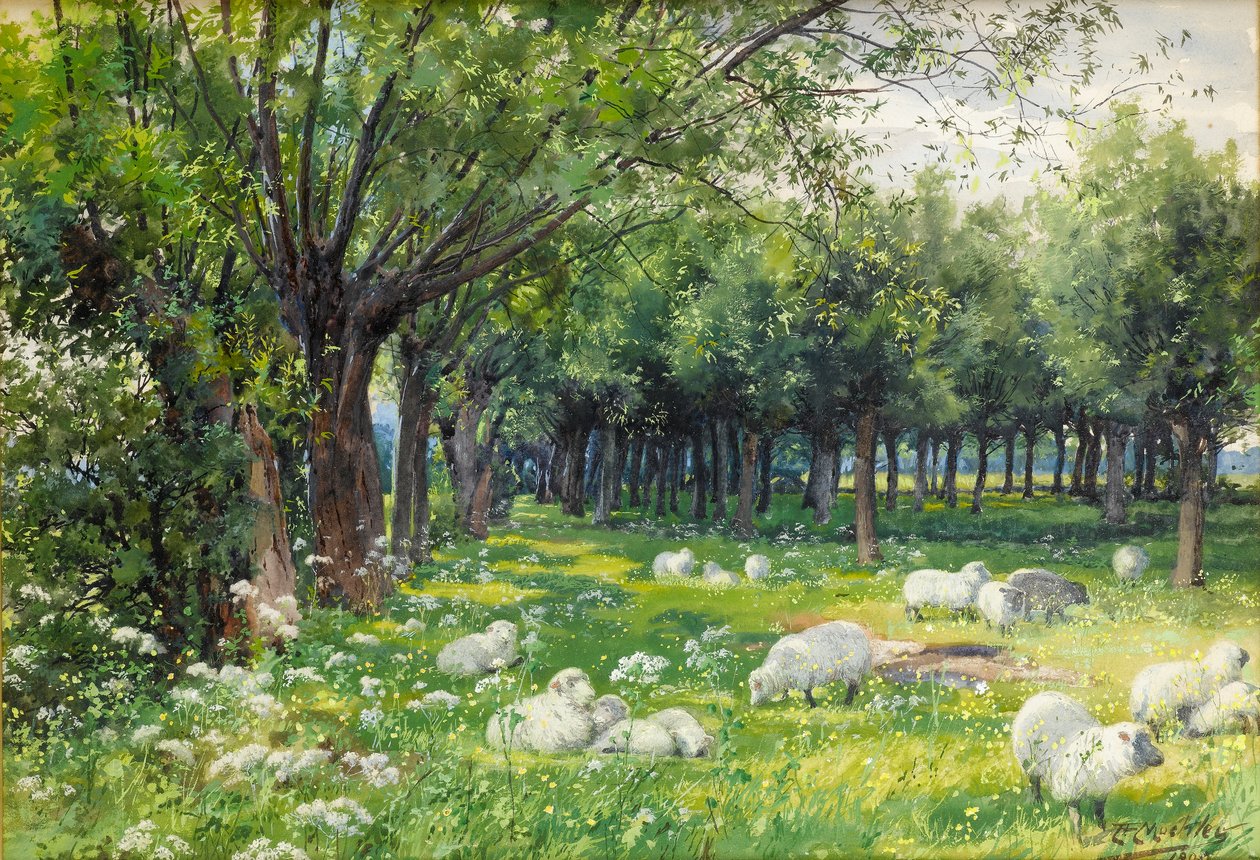 Moutons dans un verger au printemps - Louis Fairfax Muckley