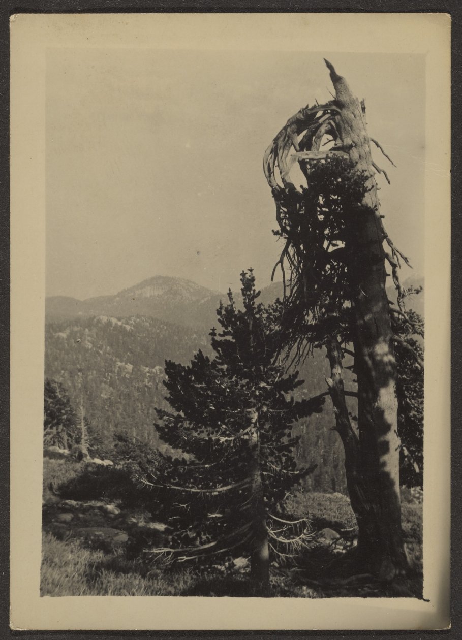 [Pic Abe Lincoln] - Louis Fleckenstein