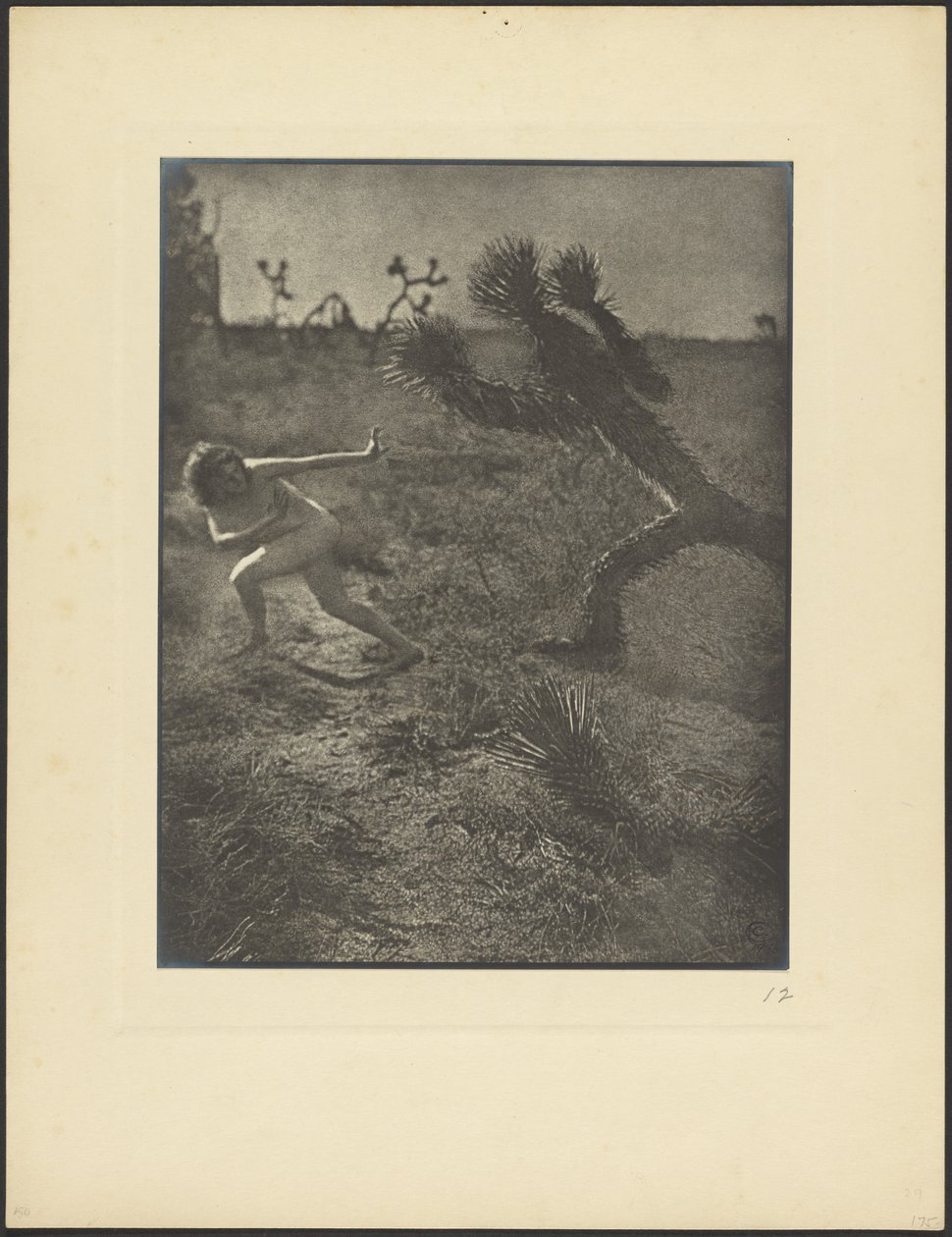 Bogey Man du désert - Louis Fleckenstein