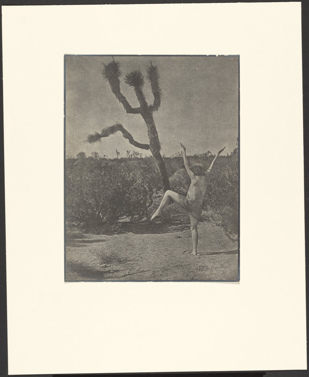 Maître de danse - Louis Fleckenstein