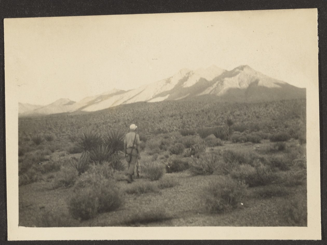 [Figure dans le paysage] - Louis Fleckenstein
