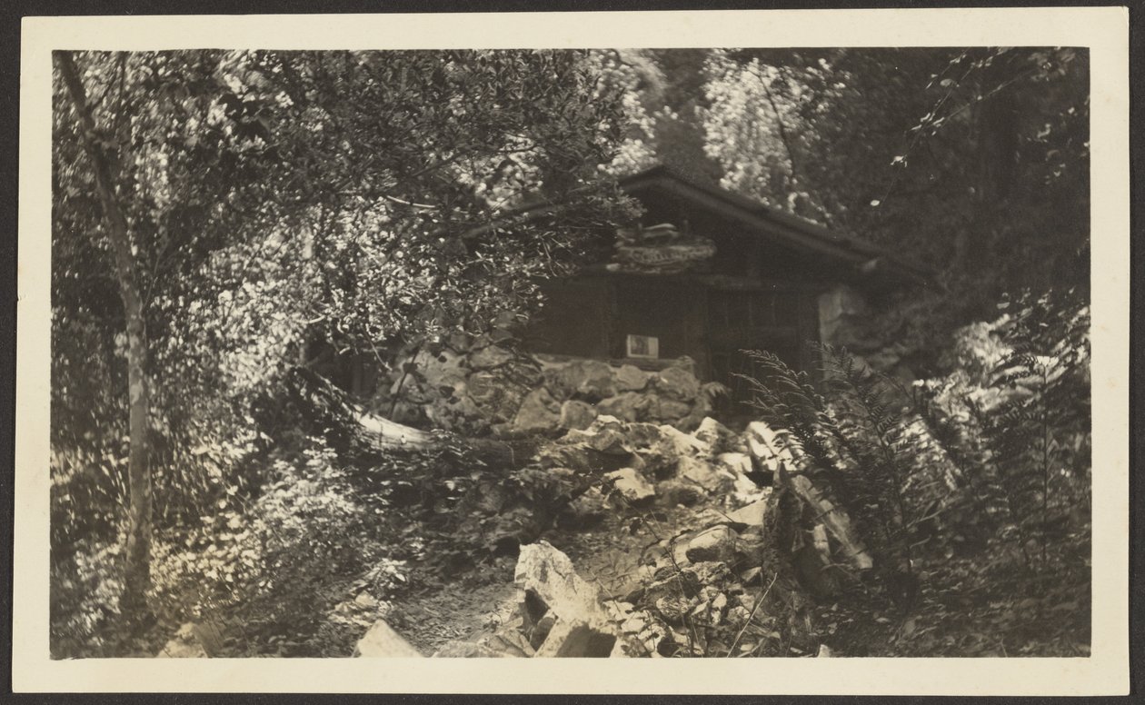 [Forest Lodge] - Louis Fleckenstein