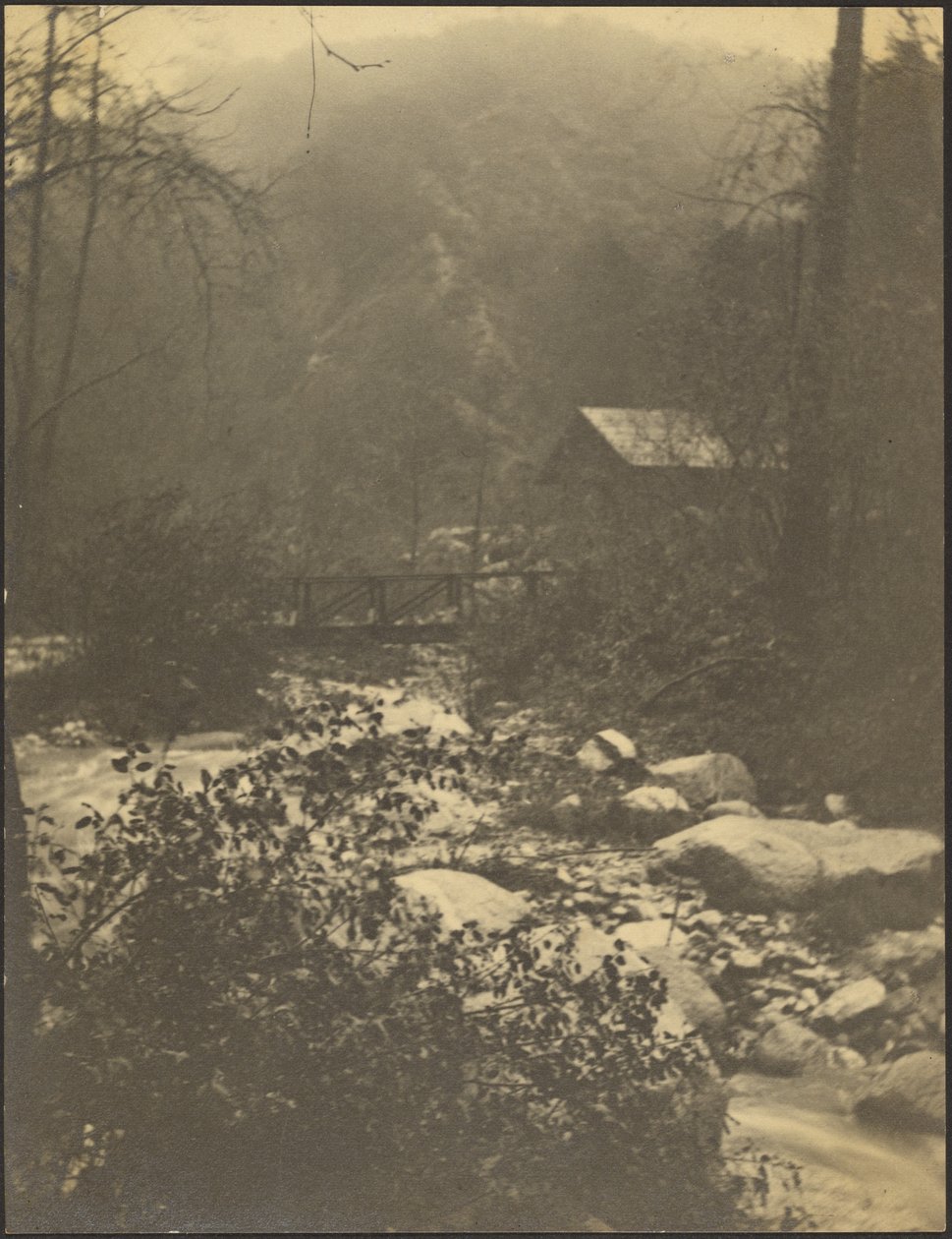 Dans le petit canyon de Santa Anita - Louis Fleckenstein