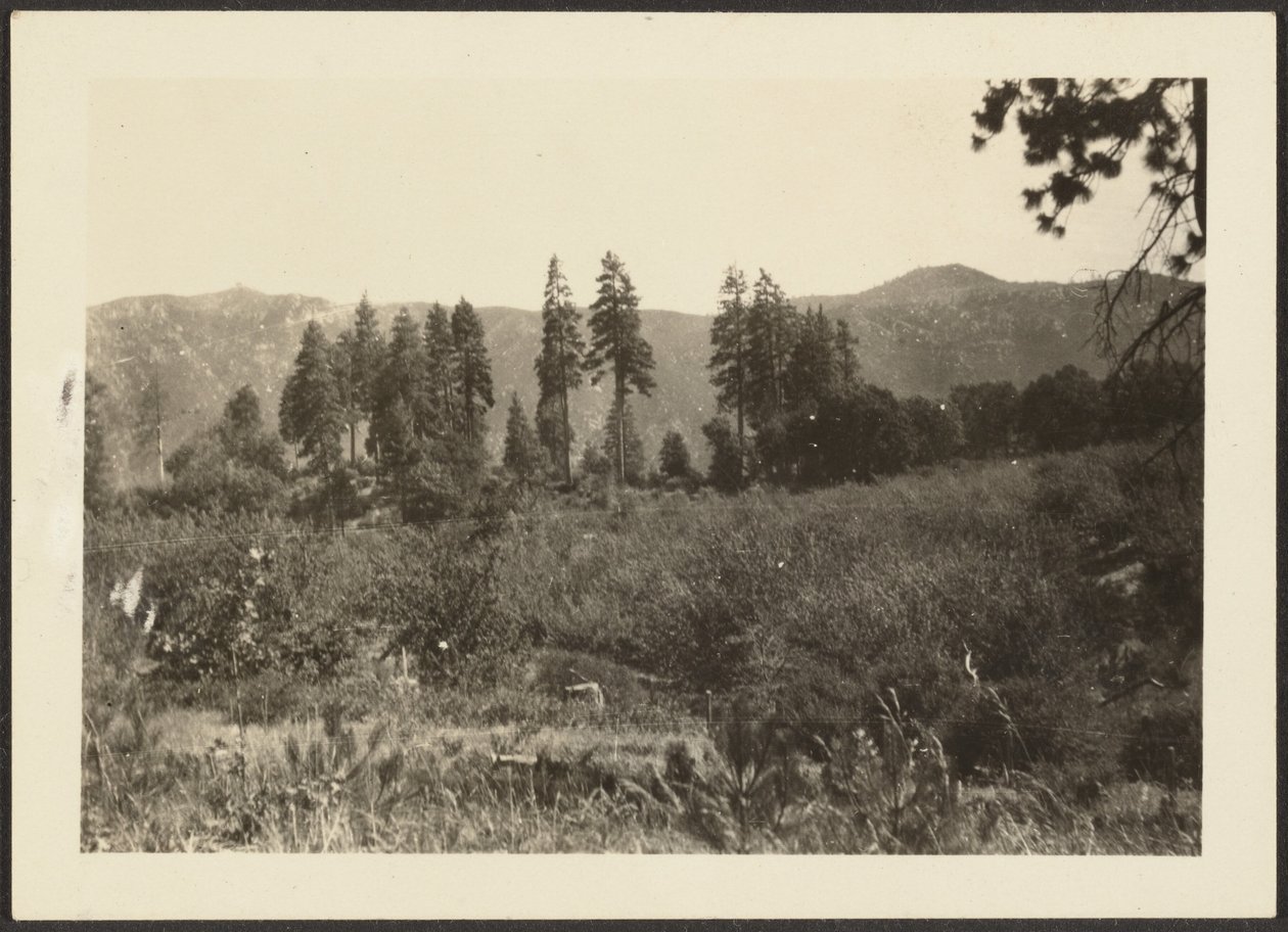 [Paysage] - Louis Fleckenstein