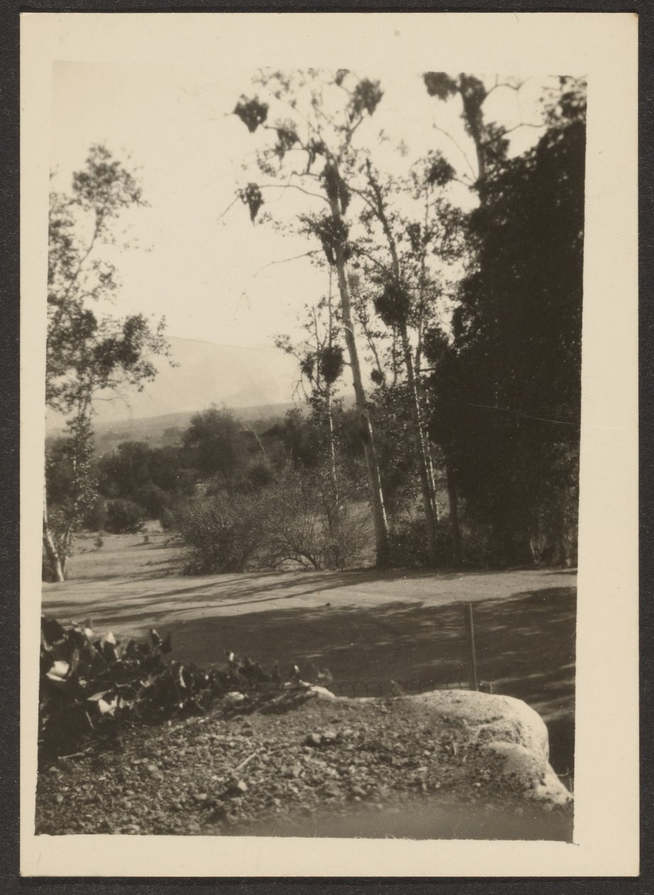 [Paysage] - Louis Fleckenstein