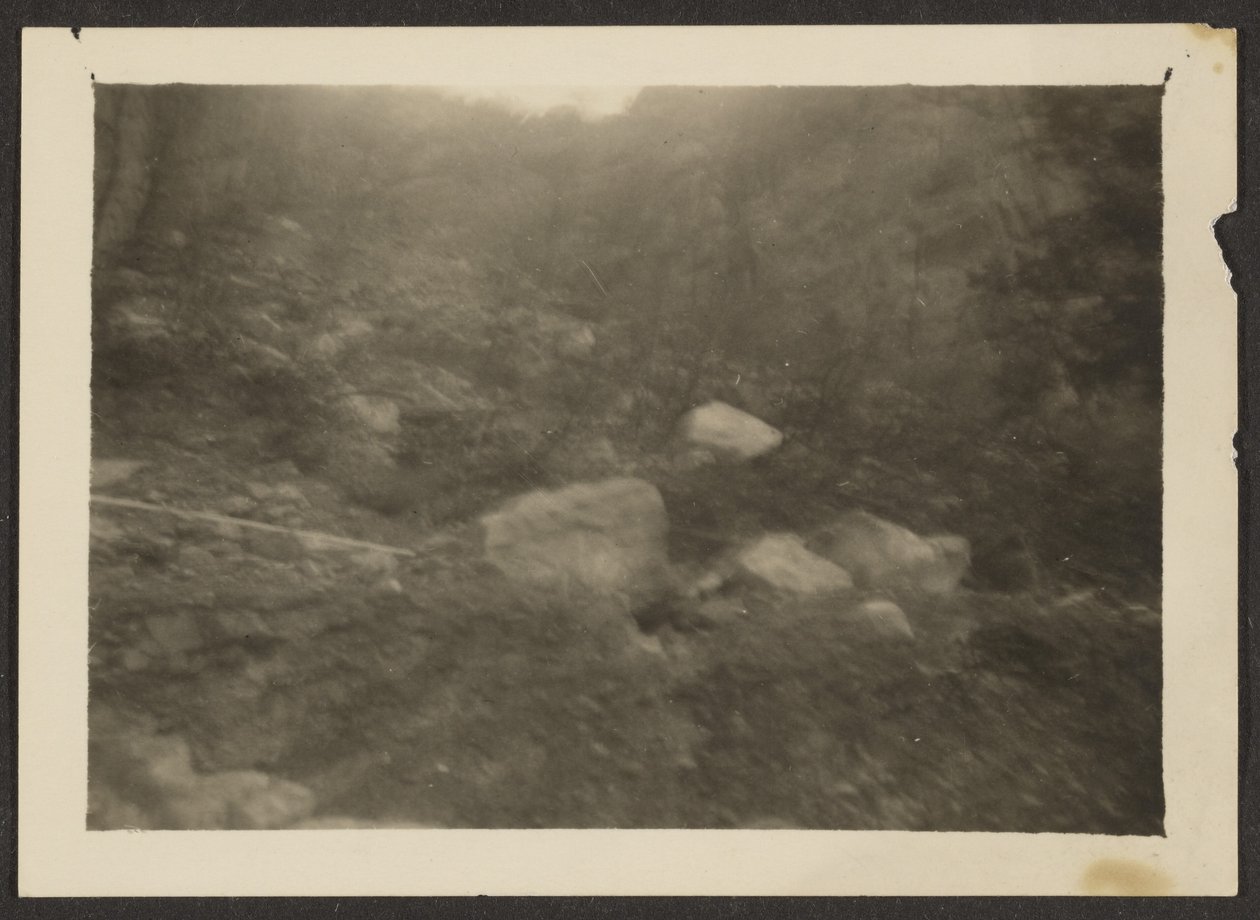 [Paysage] - Louis Fleckenstein