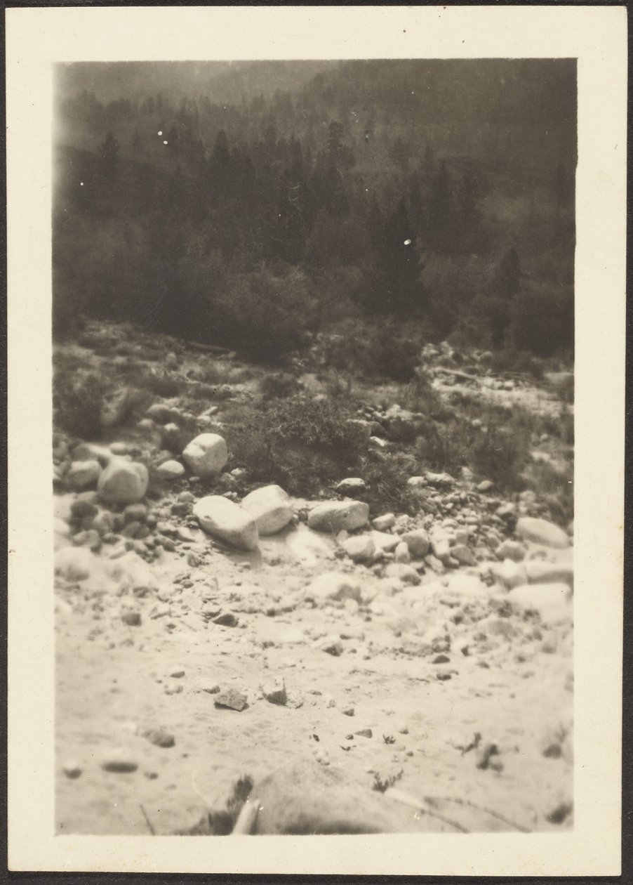 [Paysage] - Louis Fleckenstein