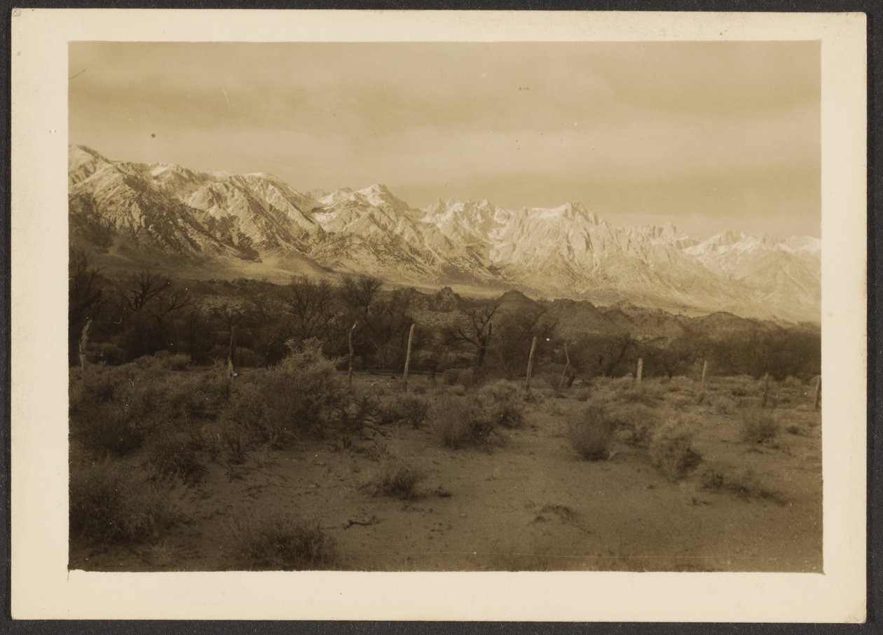 [Paysage] - Louis Fleckenstein