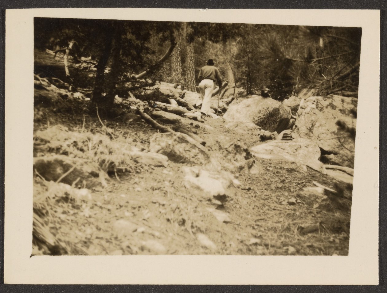 [Paysage] - Louis Fleckenstein