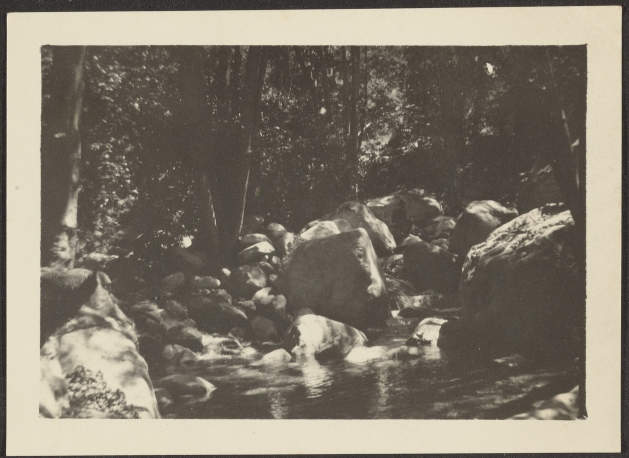 [Paysage] - Louis Fleckenstein