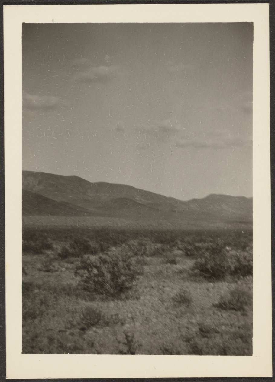 [Paysage] - Louis Fleckenstein