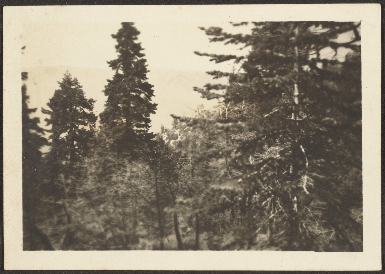 [Paysage] - Louis Fleckenstein
