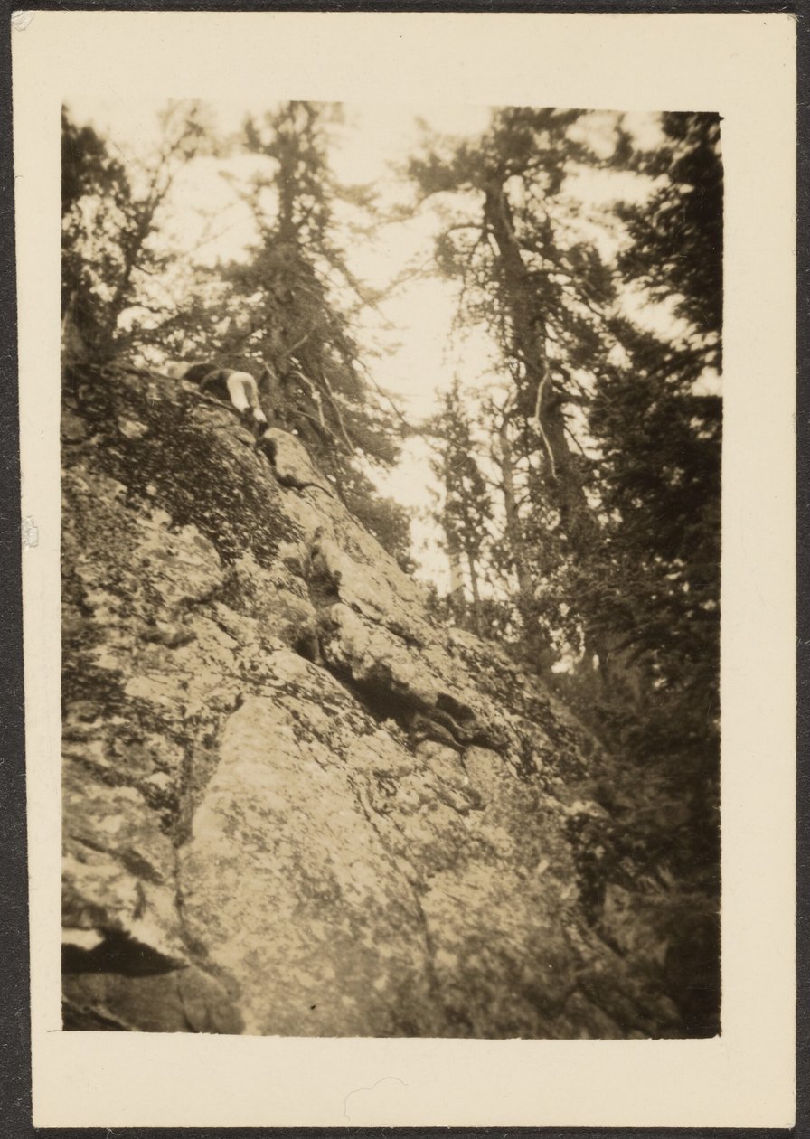 [Paysage] - Louis Fleckenstein