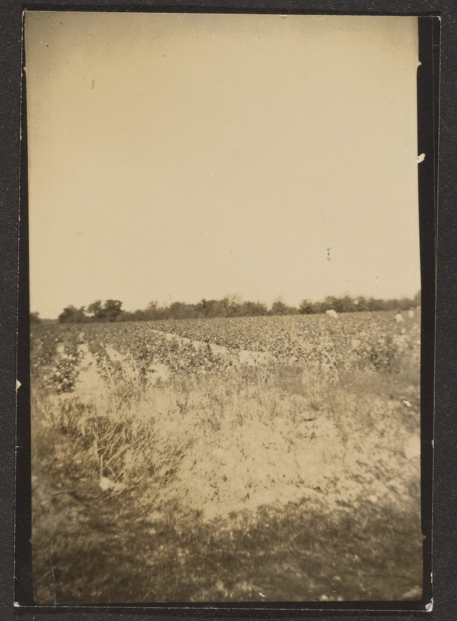 [Paysage] - Louis Fleckenstein
