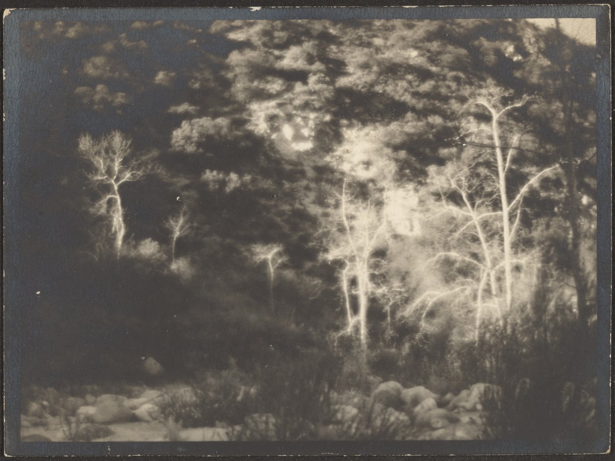 [Paysage] - Louis Fleckenstein