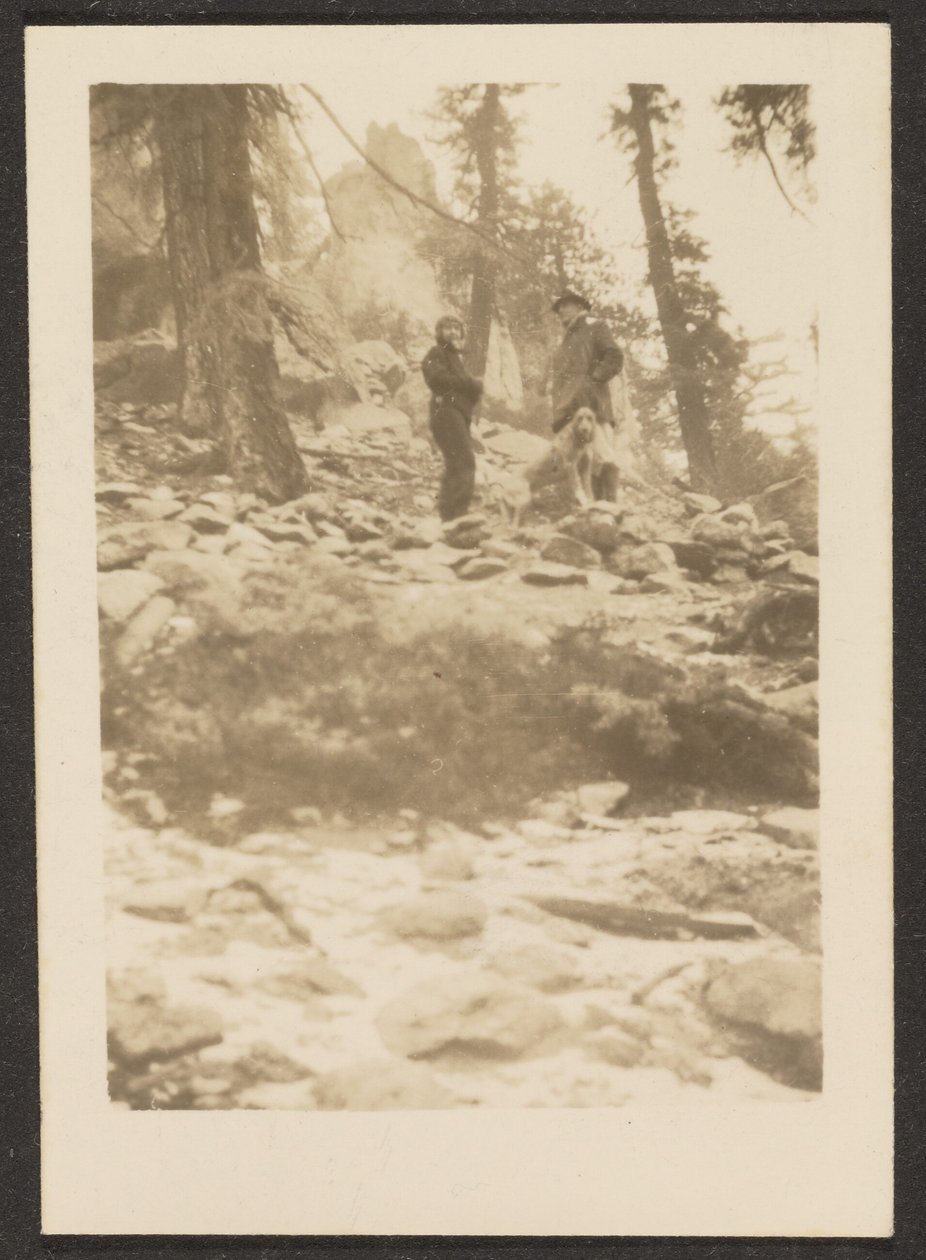 [Paysage] - Louis Fleckenstein